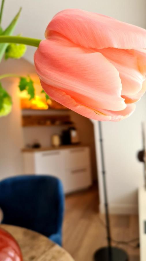 Short Stay Midden Drenthe Beilen Экстерьер фото